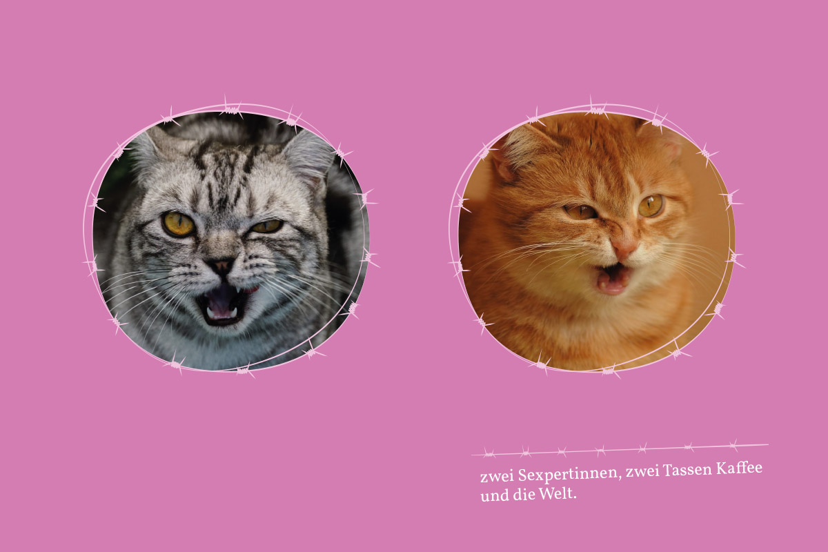 Stacheldraht im Schlüpfer Website2 Stacheldraht im Schlüpfer Website